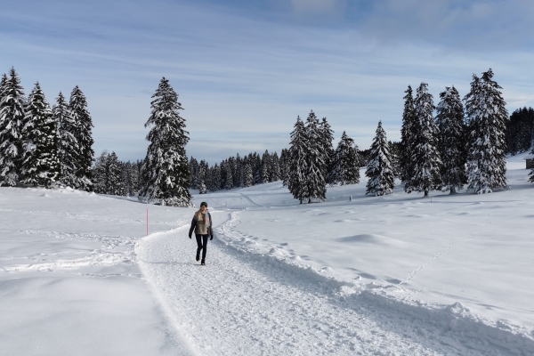 Blancs pâturages dans le Jura vaudois