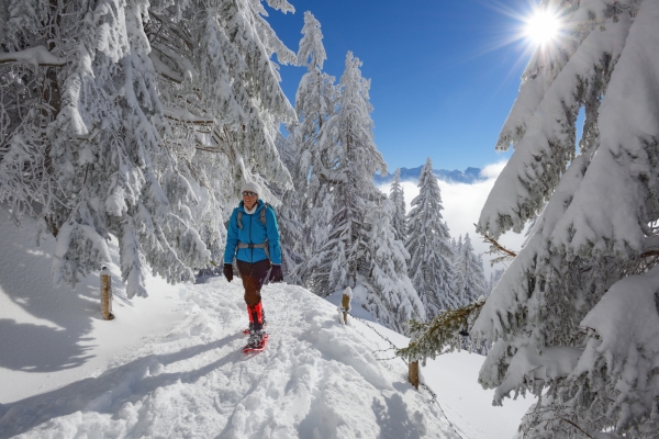 Auf der Rigi Scheidegg