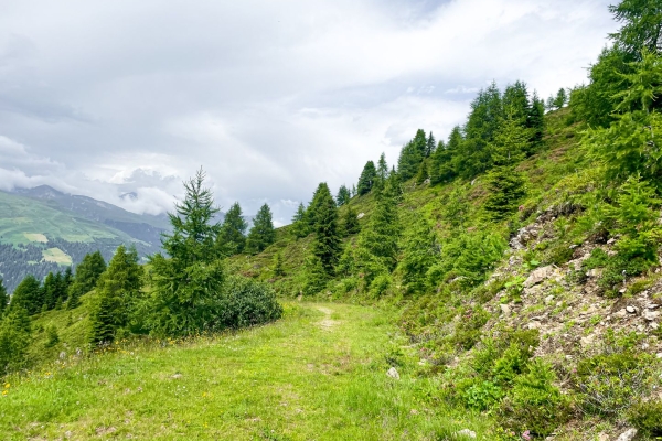Rundwanderung aufs Rinerhorn