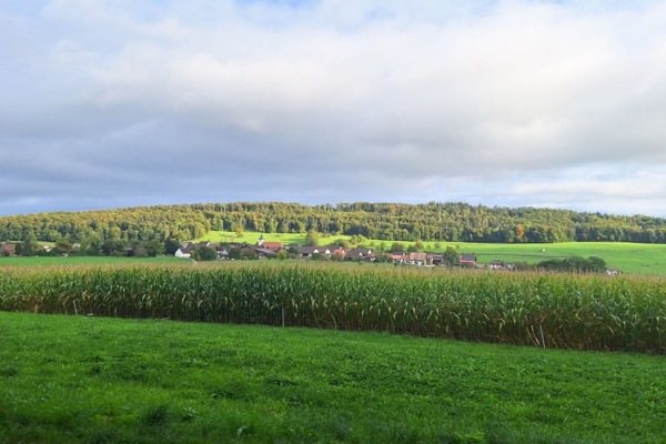ZWISCHEN WIESEN, WALD UND URZEIT DURCH DIE AJOIE