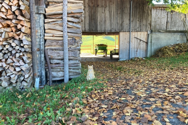 Farbige Herbstwälder und Sandsteinfelsen