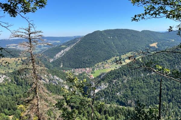 Tête de Moine und Jura-Bergkäse