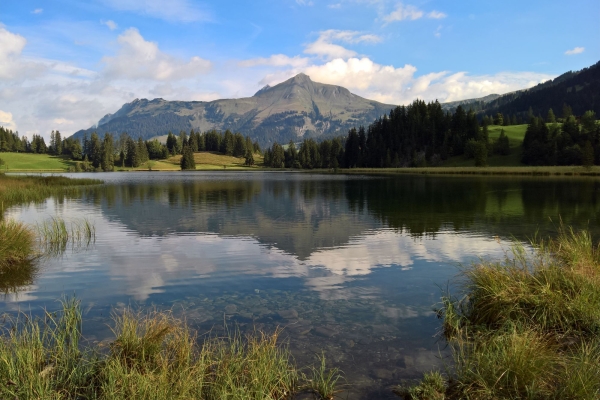 «Det hende bem Louwenesee»