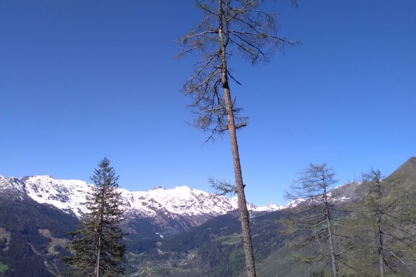 Sulle tracce di San Colombano sulla via del Lucomagno