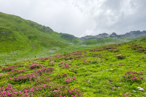 Rundwanderung aufs Rinerhorn