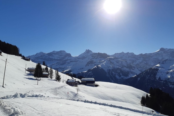Schneeschuhwanderung im Schächental – Spuren in der Nacht
