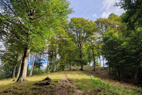 Pairolo, Polenta e Panorama.