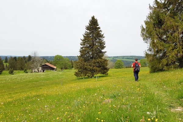 Fonti energetiche nel Giura bernese