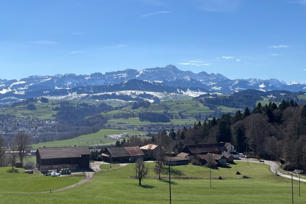 Halbtageswanderung - Den Säntis im Fokus