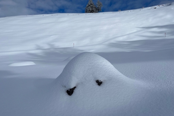 Panorama Schneeschuhwanderung Eggberge
