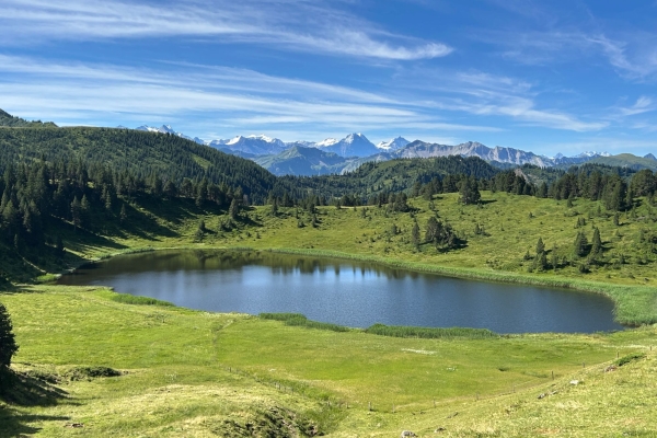 Vom Glaubenberg zum Fürstei