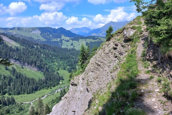 43. Rund um Orgevaux (VD)