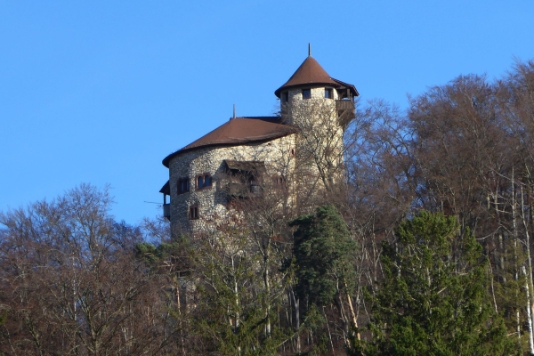 Familienwanderung zur Burg Reichenstein