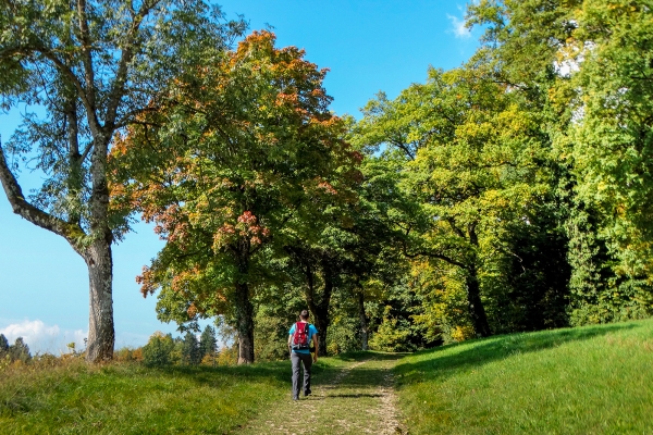 Zum höchsten Punkt in Delémont