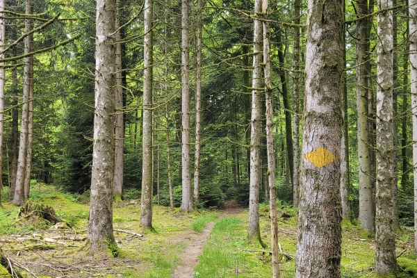 Un’idillica escursione attraverso l’Altopiano