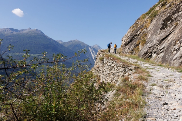 Im Land der Heuschrecken von Jeizinen