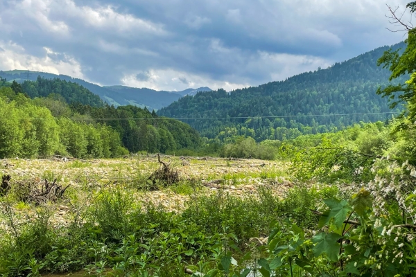 Abenteuer an der ursprünglichen Sense