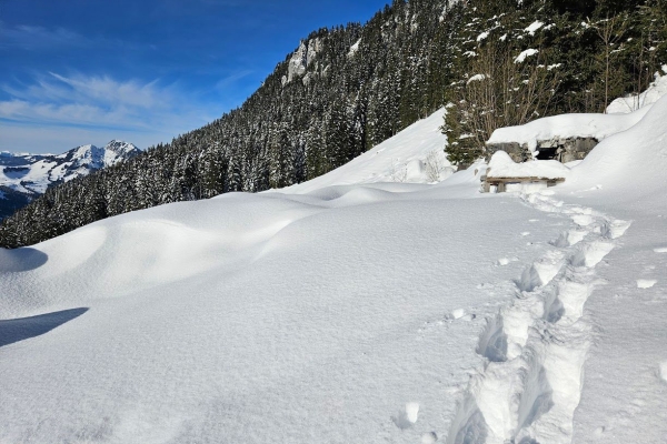 Schneeschuhtour zum Brisenhaus