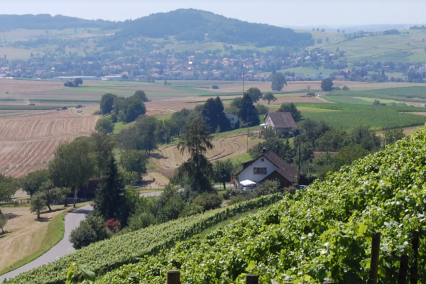 Schaffhauser Grenzweg (**/T1)