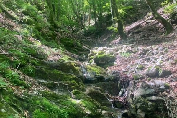 In viaggio verso l’alta valle di Muggio