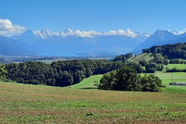 Brätli-Tour (2. Durchführung)