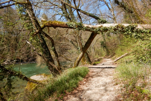 Le long de la Reuss sauvage