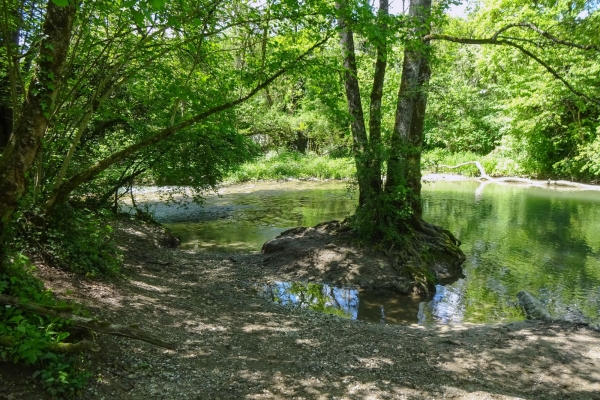 Ursprüngliche und kultivierte Natur