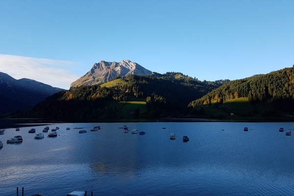Himmelchopf