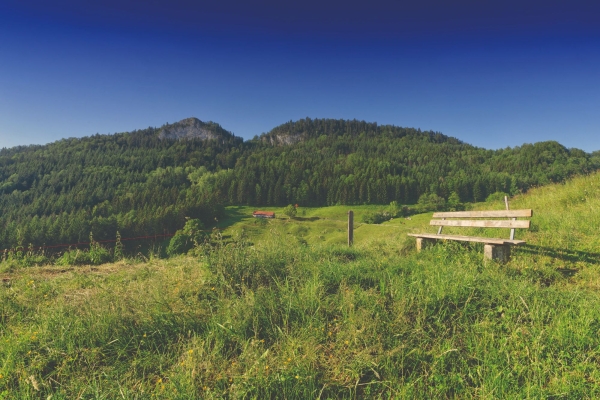 Erlebnisreiche Quellenwanderung mit Eptinger