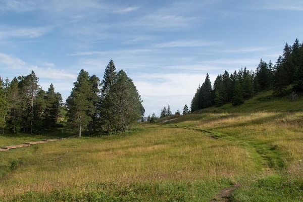 Moorzauber am Glaubenberg