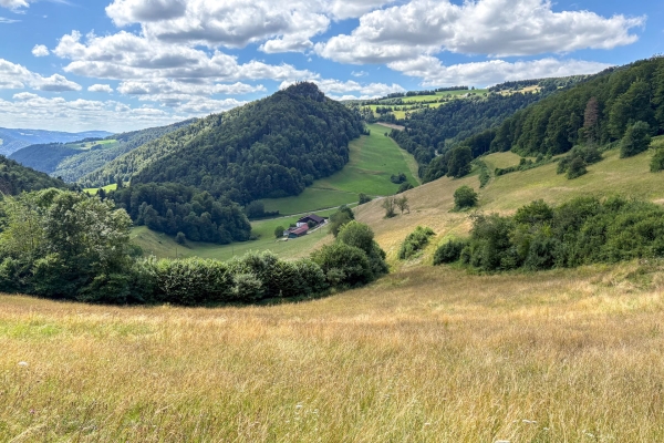 Auf einsamen Jurahöhen bei St-Ursanne