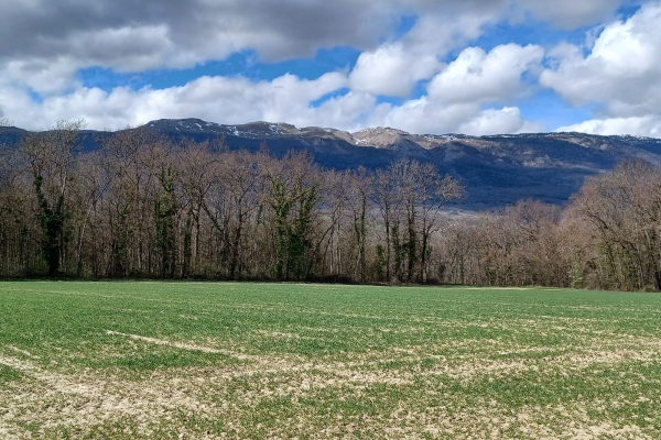 8. Die Gegend des Allondon