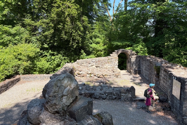 Sonnige Uferwanderung entlang der Reuss