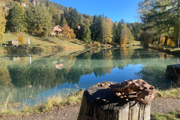 R62: Arbaz - Les Evouettes - Incron - Vermenala - Les Evouettes - Anzère - Arbaz