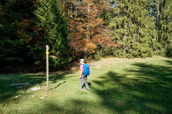 Le Jura entre Sonvilier et Le Noirmont