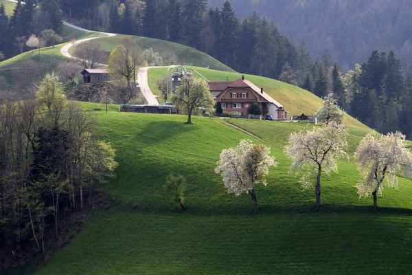 Schulreise ins Luthertal / Luthern– Palmegg via Schwarzenbach