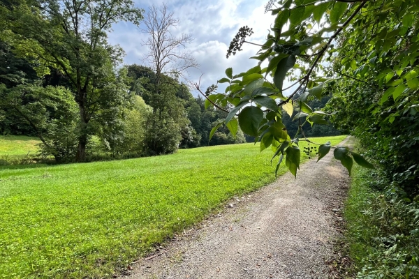 Entlang des Gäbelbachs (2. Durchführung)