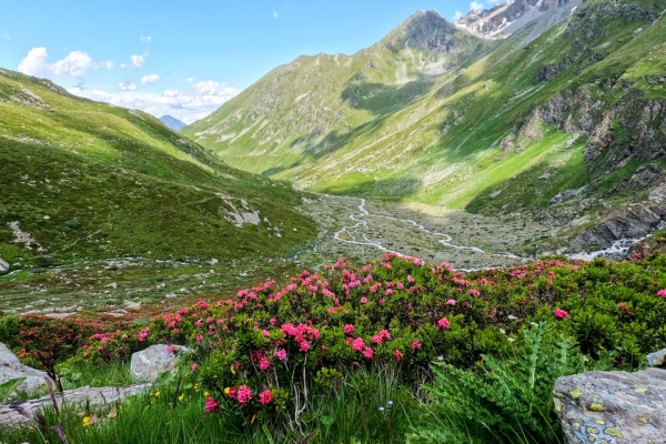 Le vallon de Valsorey et son paysage morainique