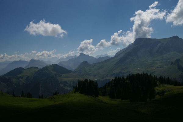 Über die Musenalp zum Rinderbühl