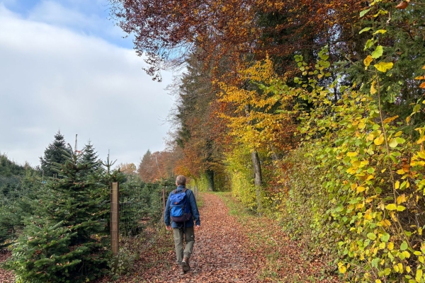 Vom Reussufer zum Erdmannlistei