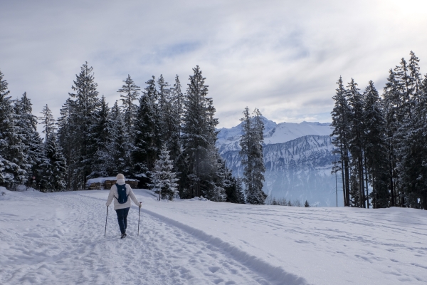 Beatenberg et les Alpes bernoises enneigées