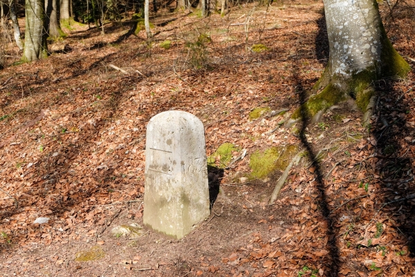 Zu den Türmen am Baselbieter Wiseberg