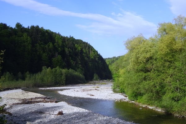 30. Romantische Burgruine Grasburg