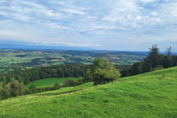 Auf den Spuren der Urzeit im Jura