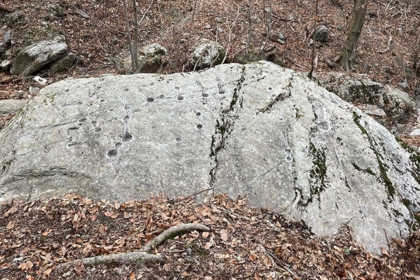 Passando da Arcegno alla riserva forestale Bosco Maia
