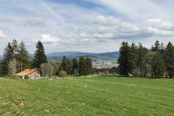 Urbanität in der Prärie