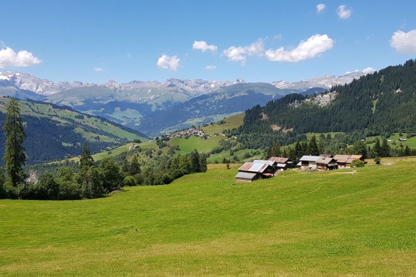 Signina - Paradies zwsichen Tobeln