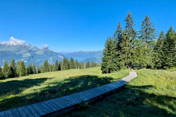 Grosses Panorama auf dem Gibel