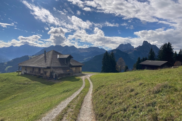 Höhenwanderung im Saanenland