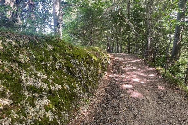 Sommet panoramique en Appenzell